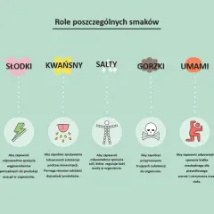 Ilustracja przedstawia role pięciu smaków: słodkiego, kwaśnego, słonego, gorzkiego i umami, z ikonami i opisami.