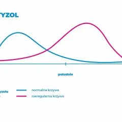 Czy kawa podnosi kortyzol? Sprawdź, jak wpływa na Twoje zdrowie