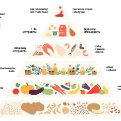 Piramide żywienia: codzienne owoce, warzywa, oliwa, ryby, nabiał, a rzadziej mięso. Idealna do tworzenia dieta śródziemnomorska przepisy na cały tydzień.