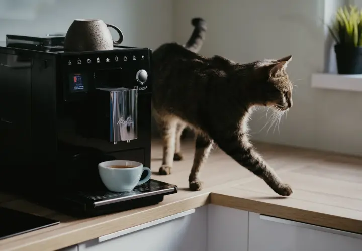 Kot obserwuje ekspres do kawy DeLonghi, który przygotowuje napój. Zastanawiasz się, ile prądu ciągnie ekspres do kawy DeLonghi?