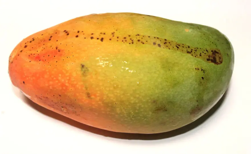 Jak wygląda mango - Nie daj się zmylić kolorom i wybierz dojrzałe